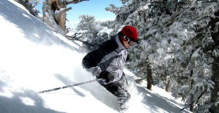 powder-trees-skiing